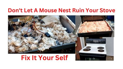 can mice get into a gas oven